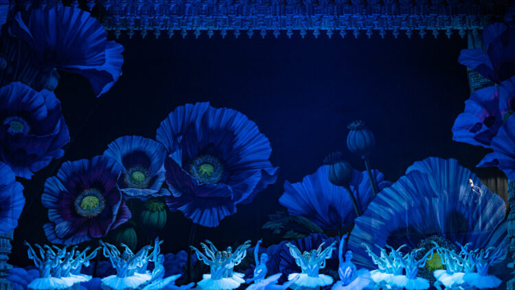 All’Opera di Roma La Bayadère, coreografia di Benjamin Pech