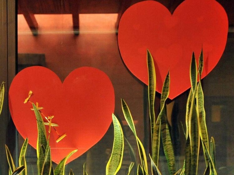 L’amore fa bene al cuore, lo dice la scienza: ecco cosa cambia se si è in coppia