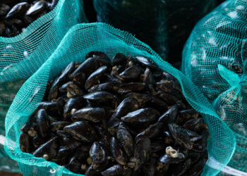 Epatite A, salgono a 53 i pazienti ricoverati al Cotugno di Napoli