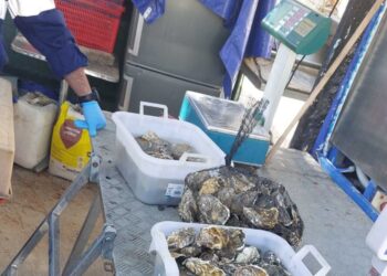 Epatite A tra Campania e Lazio, indagano Procura e Nas di Napoli