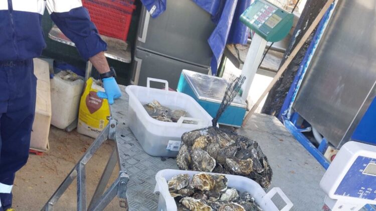 Epatite A tra Campania e Lazio, indagano Procura e Nas di Napoli