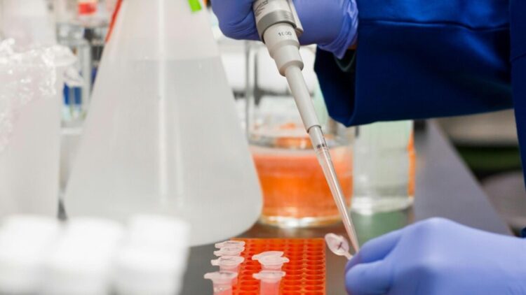 Violentata da sieropositivo e morta per Aids, pm chiede 24 anni di carcere