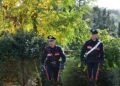 Imprenditrice Daniela Fargion rapinata in villa, pistola puntata alla testa