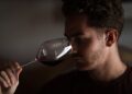 Vitis Aurunca, con i fondi europei una nuova cantina e la bottaia di affinamento