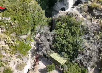 Resort abusivo a Ischia, la Regione chiede relazione dettagliata al Comune