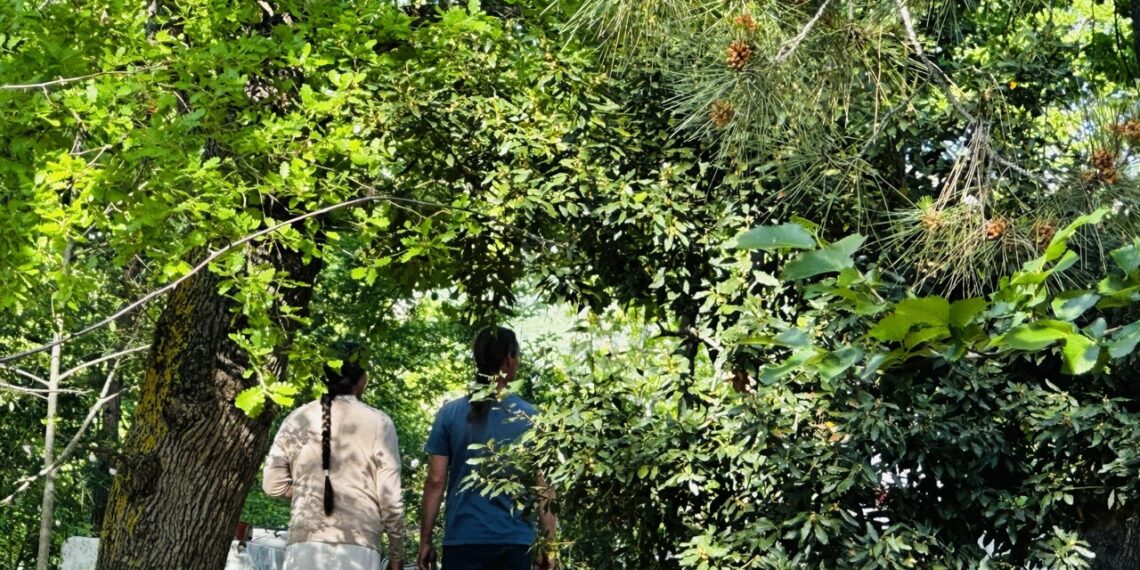 Pillon, i ‘bimbi del bosco’ a Palmoli per poche ore la prossima settimana