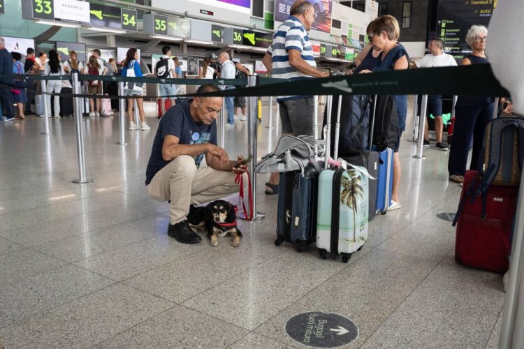 Etna, aeroporto di Catania chiuso: voli sospesi fino alle 12 di lunedì 28 settembre