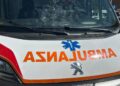 Auto si scontra con un cinghiale, due ragazze ferite in Irpinia