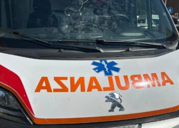 Auto si scontra con un cinghiale, due ragazze ferite in Irpinia