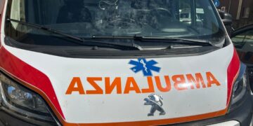 Auto si scontra con un cinghiale, due ragazze ferite in Irpinia
