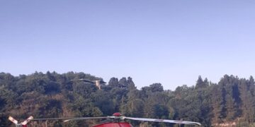 Sospetto morso di vipera, dal Salernitano 11enne in eliambulanza a Napoli