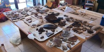 Nuovi reperti archeologici nella Grotta Maria Colombo