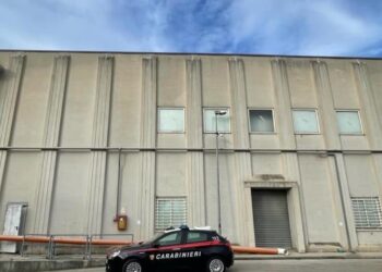 Operaio morto: avvocato, lesioni compatibili con caduta da circa 8 metri